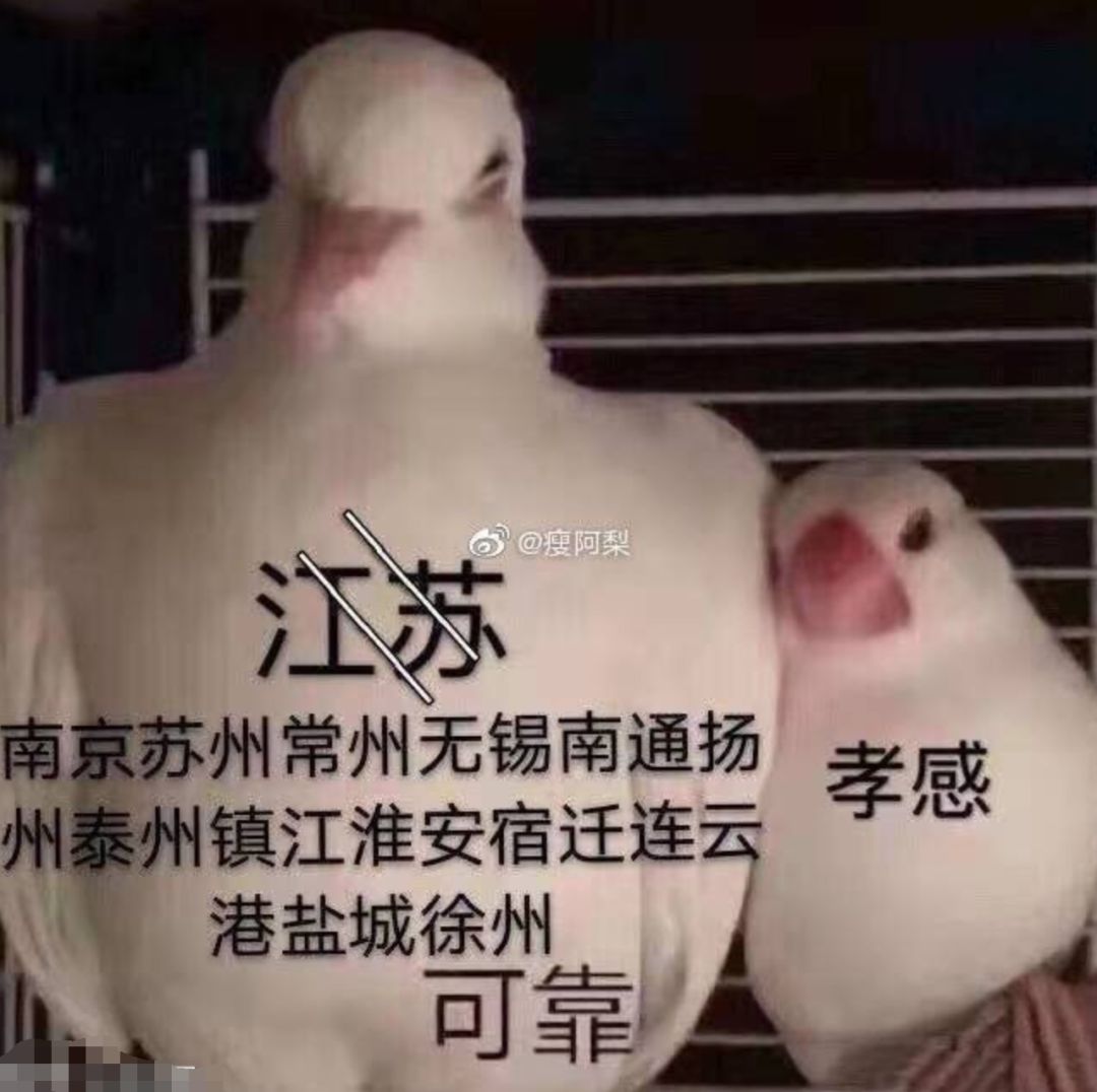 “散裝”的江蘇，也是中國的江蘇！