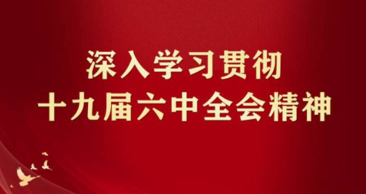 貫徹落實黨的十九屆六中全會精神，高舉馬克思主義旗幟