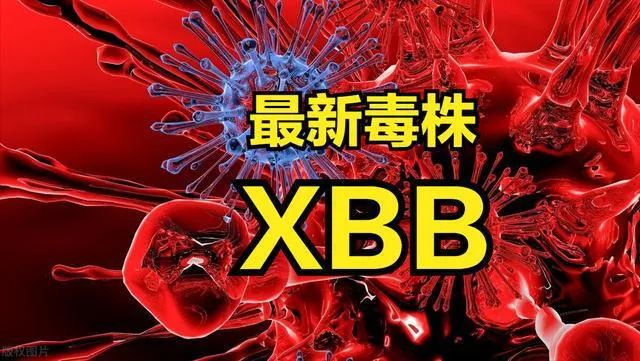 XBB新毒王入侵？誰在炒作新一輪搶購潮？